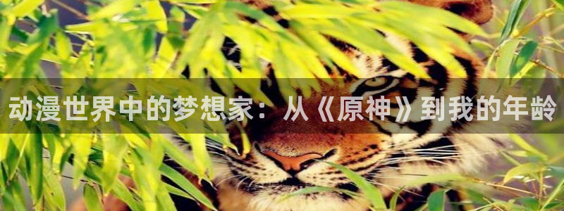 omofun动漫网在线观看：动漫世界中的梦想家：从《原神》到我的年龄