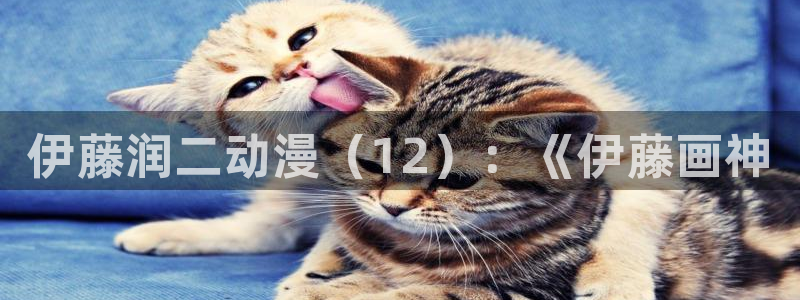 omofun传送门入口：伊藤润二动漫（12）：《伊藤画神
