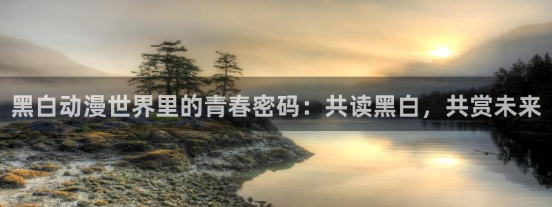 omofun动漫app下载最新版：黑白动漫世界里的青春密码：共读黑白，共赏未来