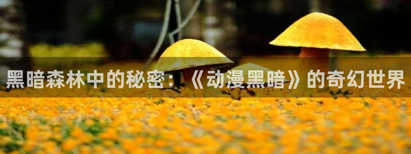omofunapp官网：黑暗森林中的秘密：《动漫黑暗》的奇幻世界