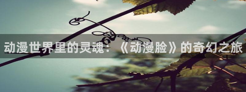 omofun官网入口下载最新版：动漫世界里的灵魂：《动漫脸》的奇幻之旅